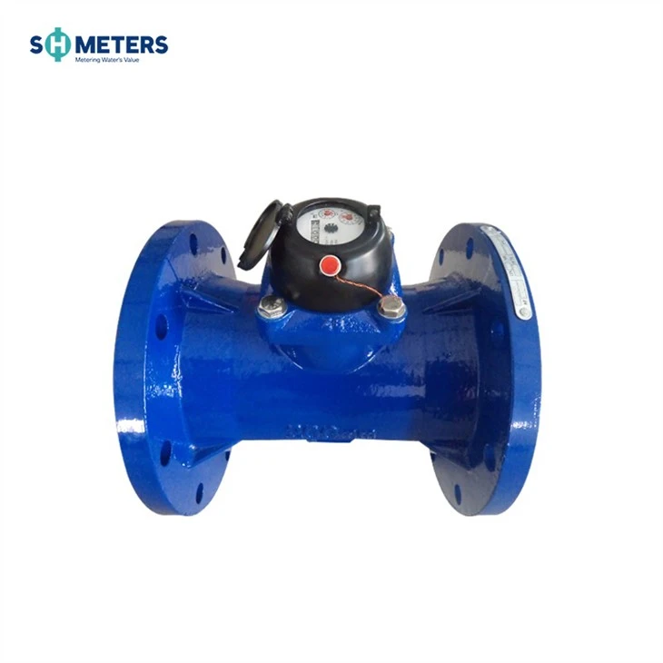 Removable Element Industrial Woltman Water Meter